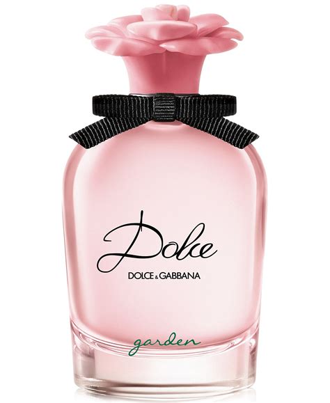 dolce gabbana by fragrance|dolce gabbana fragrantica.